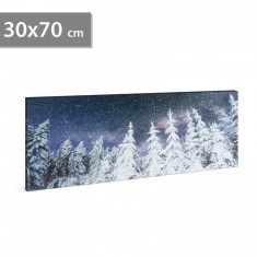 Tablou decorativ cu LED - 70 x 30 cm - peisaj de iarna 58480B foto