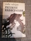 Patimile radacinilor - Radi Selejan