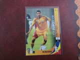 Cartonas Adi Mutu Romania la Euro 2008 Panini