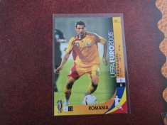 Cartonas Adi Mutu Romania la Euro 2008 Panini