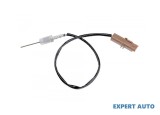 Senzor temperatura gaze dpf Fiat Scudo (2007-&gt;) [270_,272_] #1