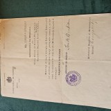 Ministerul de Rasboiu - Document semnat OLOGRAF de ministru de razboi - I. C. Bratianu catre general de divizie Petre Nasturel