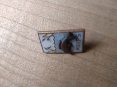 Insigna Vanatoare AJVPS peste