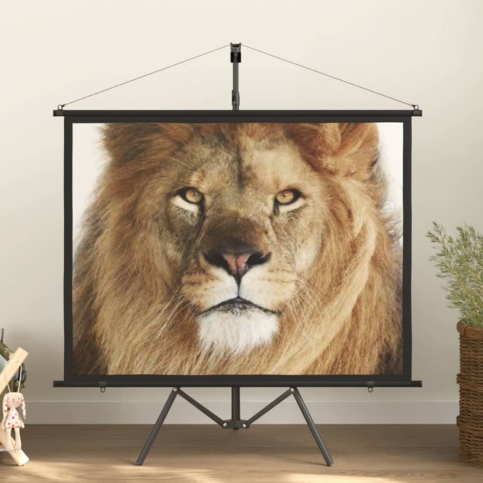Ecran de proiecție cu trepied 60&quot; 4:3