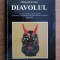 ALFONSO DI NOLA - DIAVOLUL