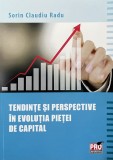 TENDINTE SI PERSPECTIVE IN EVOLUTIA PIETEI DE CAPITAL - SORIN CLAUDIU RADU, 2015