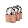 Set 3 Lacate Richmann Exclusive, 50mm, Otel placat cu cupru, Chei identice, Protectie intemperii, Rezistent la taiere
