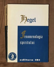G. W. F. Hegel - Fenomenologia spiritului foto