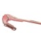 Balama capota dreapta față AUDI A4 Cabrio 8H7, B6, 8HE, B7 2006 OEM: 8H0823302 11789164