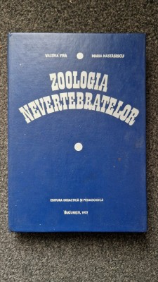 ZOOLOGIA NEVERTEBRATELOR - Fira, Nastasescu foto