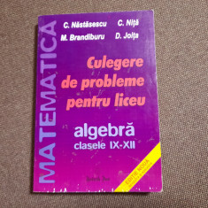 CULEGERE DE PROBLEME PENTRU LICEU CLASELE IX-XII C NASTASESCU