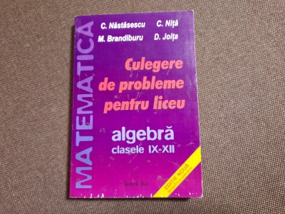 CULEGERE DE PROBLEME PENTRU LICEU CLASELE IX-XII C NASTASESCU foto