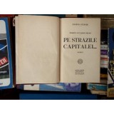 Pe strazile capitalei ... , Damian Stanoiu