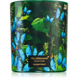 Vila Hermanos Jungletopia Blue Butterfly lum&acirc;nare parfumată 200 g