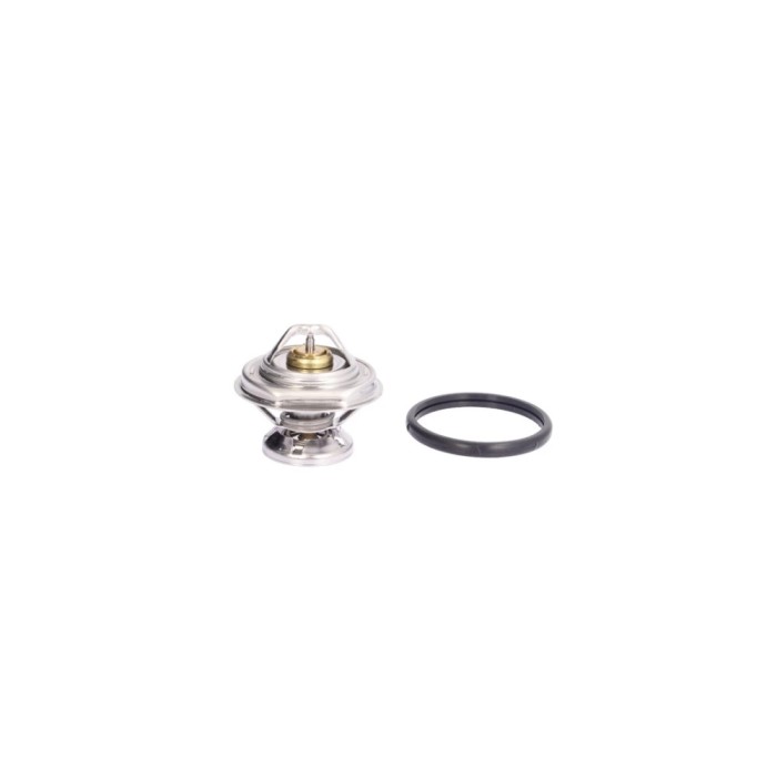 Termostat lichid racire MERCEDES-BENZ SPRINTER 4-t platou sasiu 904 BEHR TX2975D