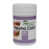 REUNAT CALM GEL 250ML