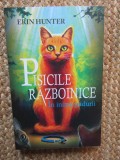 PISICILE RAZBOINICE * In inima padurii - ERIN HUNTER