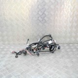 Cablaj ușă dreapta spate TESLA MODEL S 2016 OEM: 1069106-01-B 14697415