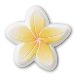 Jibbitz Crocs Beach Flower