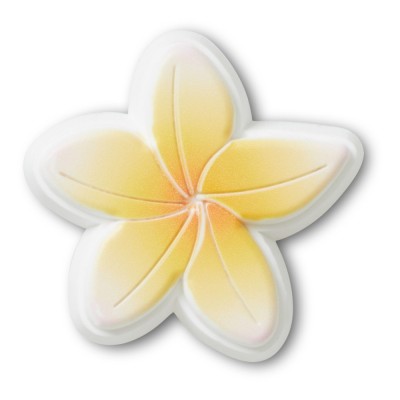 Jibbitz Crocs Beach Flower foto