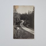 Fotografie format CP: Atelier necunoscut, Peisaj montan, ca. 1920 / Romania