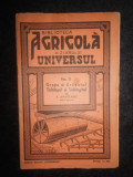 A. Anastasiu - Grapa si Grapatul. Tafalugul si Tafalugitul (1934)