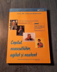 Copilul neascultator agitat si neatent Iuliana Dobrescu