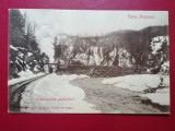 Valea Argesului exploatarea padurilor
