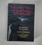 Victor Craciun Brancusi in cautarea formelor