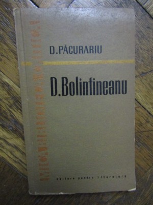 D. Bolintineanu - D. Pacurariu foto