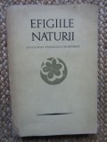 EFIGIILE NATURII: ANTOLOGIA PASTELULUI ROMANESC-PETRE STOICA, MIRCEA TOMUS