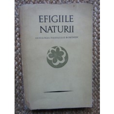 EFIGIILE NATURII: ANTOLOGIA PASTELULUI ROMANESC-PETRE STOICA, MIRCEA TOMUS