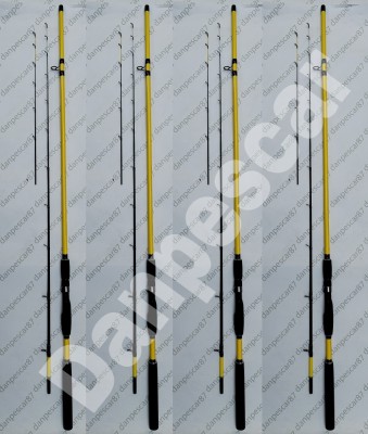 SET 4 Lansete Feeder ROBINHAN BOLENTINO PLUS 2,40 m 100-200gr cu 2 Varfuri foto