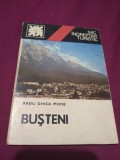 Cumpara ieftin MIC INDREPTAR TURISTIC BUSTENI