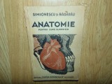 ANATOMIE PENTRU CURS SUPERIOR SIMIONESCU SI BADARAU ANUL 1946