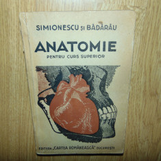 ANATOMIE PENTRU CURS SUPERIOR SIMIONESCU SI BADARAU ANUL 1946