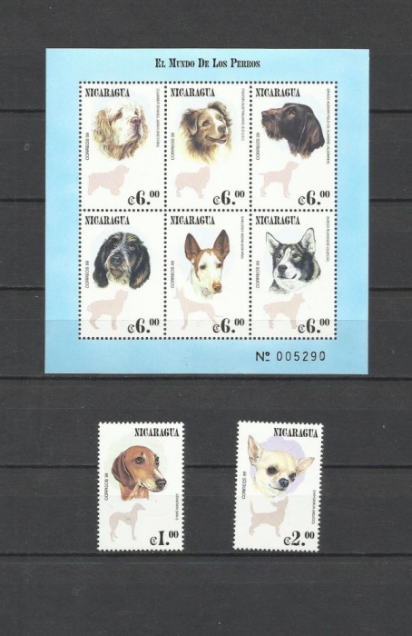 NICARAGUA 2000 FAUNA ANIMALE DOMESTICE CAINI