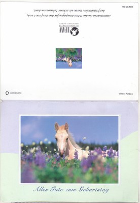 bnk cp Cal - felicitare necirculata foto