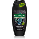 Cumpara ieftin Palmolive Men Refreshing Gel de duș pentru bărbați 2 in 1 pentru bărbați 250 ml