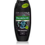 Palmolive Men Refreshing Gel de duș pentru bărbați 2 in 1 pentru bărbați 250 ml