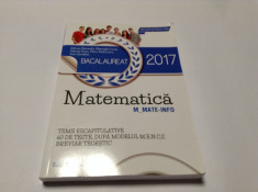 BACALAUREAT MATEMATICA 2017 TEME RECAPITULATIVE--GHEORGHE IUREA--RF10/0 foto