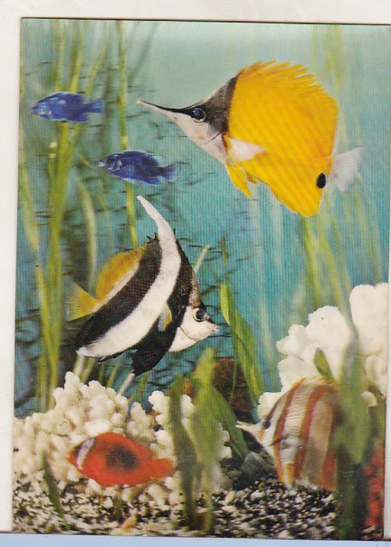 bnk cp Carte postala 3D - Pesti - Elvetia PK-81
