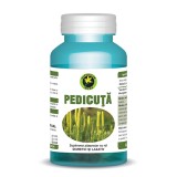 Pedicuta, 60 capsule, Hypericum