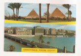 FA125 -Carte Postala- EGIPT - Souvenir from Egypt, circulata