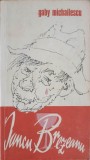 Iancu Brezeanu, O Mie de Nopti Intr-o Birja - Gaby Michailescu, Meridiane 1984, Biografie, Carte Beletristica