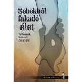 Sebekből fakad&oacute; &eacute;let - Vallom&aacute;sok, tan&aacute;csok Pio aty&aacute;t&oacute;l