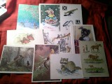10 Ilustrate URSS 1951- 1985 -Animale in Desene , Povesti , Felicitari , Pictura
