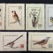 ROMANIA 1959 LP 474 PASARI CANTATOARE SI FOLOSITOARE, serie MNH