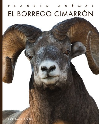 El Borrego Cimarr foto
