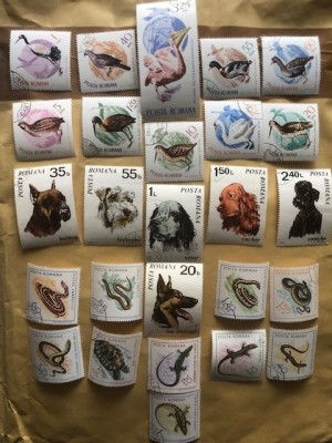 PĂSĂRI/C&amp;Acirc;INI/REPTILE - SERII COMPLETE ȘTAMPILATE foto